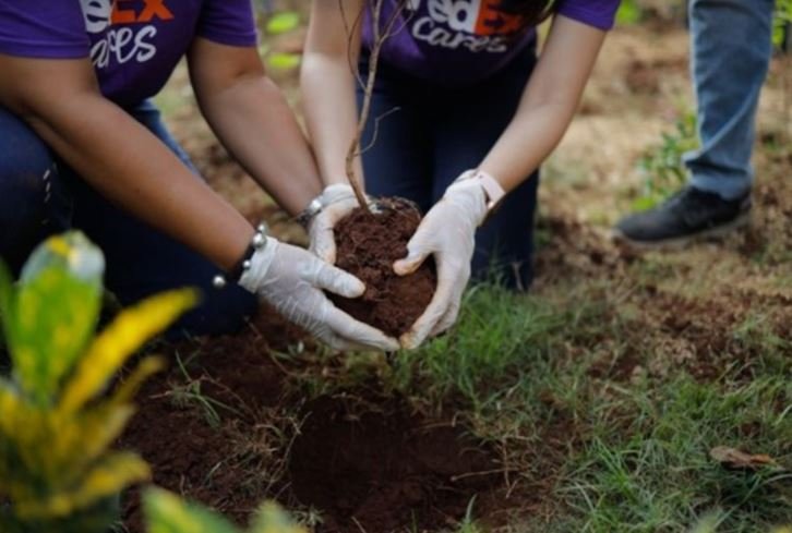 India to Benefit from FedEx's USD 2 Million Investment in Global Urban Conservation Efforts