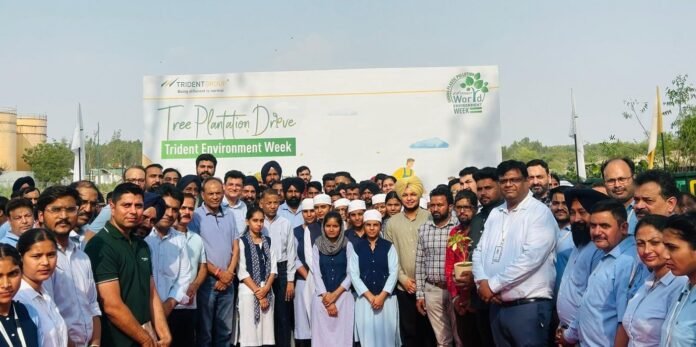 Trident Group Marks Environment Week 2025 with Large-Scale Community Action and Green Initiatives