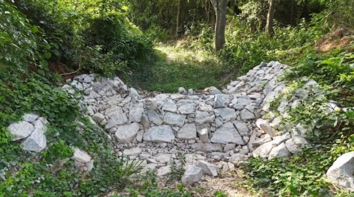 Reclaiming Water, Restoring Hope for Kolar: The Art of Living & Ashirvad