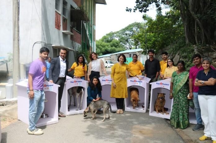 Mars and Instamart Expand Paw Protecc to Hyderabad and Chennai to Shield Homeless Pets from Monsoon Hardship